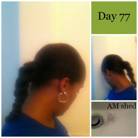 Day 77 Daily